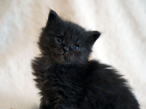 Penelope am 6. April 2025